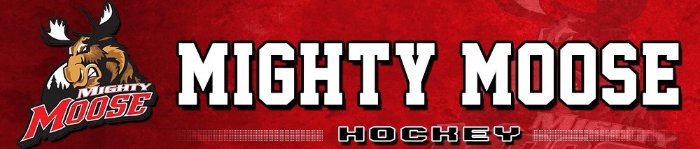 Mighty Moose Hockey